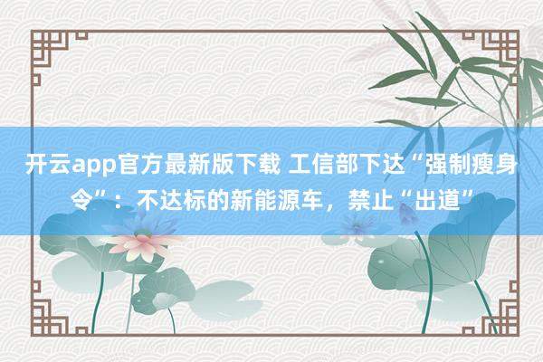开云app官方最新版下载 工信部下达“强制瘦身令”：不达标的新能源车，禁止“出道”