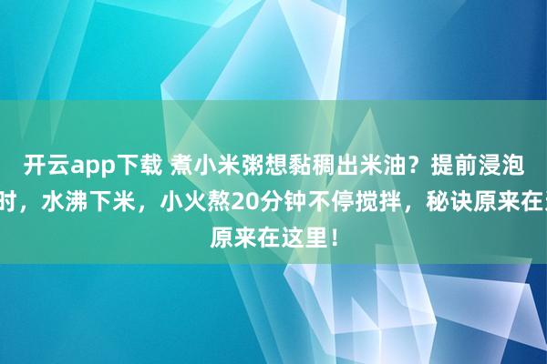 开云app下载 煮小米粥想黏稠出米油？提前浸泡半小时，水沸下米，小火熬20分钟不停搅拌，秘诀原来在这里！