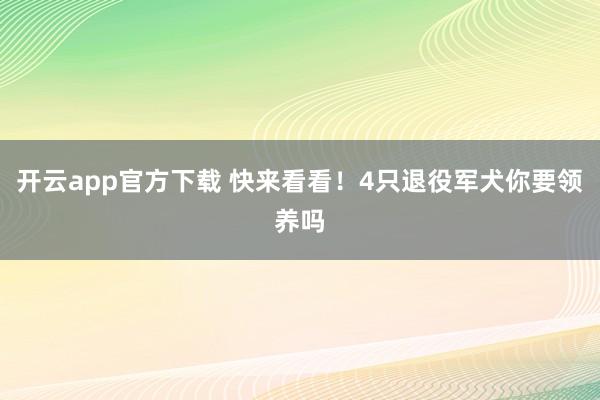 开云app官方下载 快来看看！4只退役军犬你要领养吗
