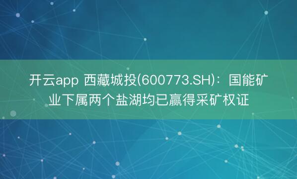 开云app 西藏城投(600773.SH)：国能矿业下属两个盐湖均已赢得采矿权证
