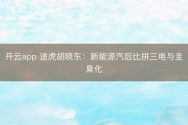 开云app 途虎胡晓东:新能源汽后比拼三电与圭臬化