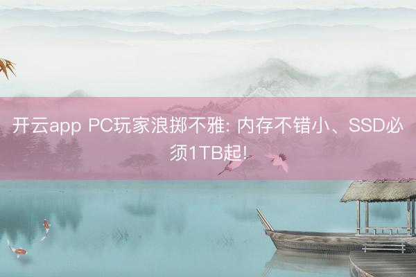 开云app PC玩家浪掷不雅: 内存不错小、SSD必须1TB起!