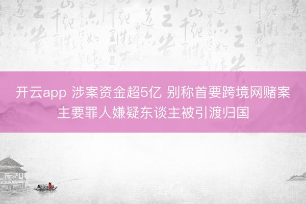 开云app 涉案资金超5亿 别称首要跨境网赌案主要罪人嫌疑东谈主被引渡归国
