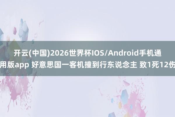 开云(中国)2026世界杯IOS/Android手机通用版app 好意思国一客机撞到行东说念主 致1死12伤
