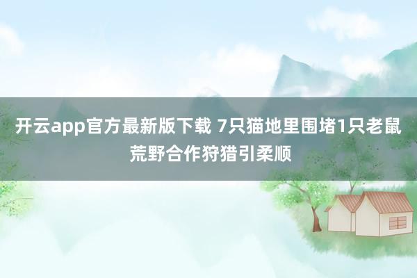 开云app官方最新版下载 7只猫地里围堵1只老鼠 荒野合作狩猎引柔顺