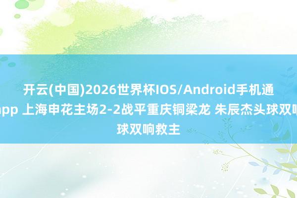 开云(中国)2026世界杯IOS/Android手机通用版app 上海申花主场2-2战平重庆铜梁龙 朱辰杰头球双响救主