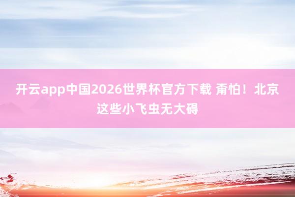 开云app中国2026世界杯官方下载 甭怕！北京这些小飞虫无大碍