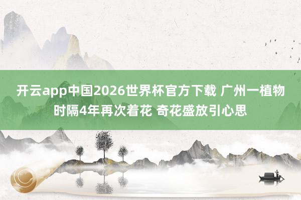 开云app中国2026世界杯官方下载 广州一植物时隔4年再次着花 奇花盛放引心思