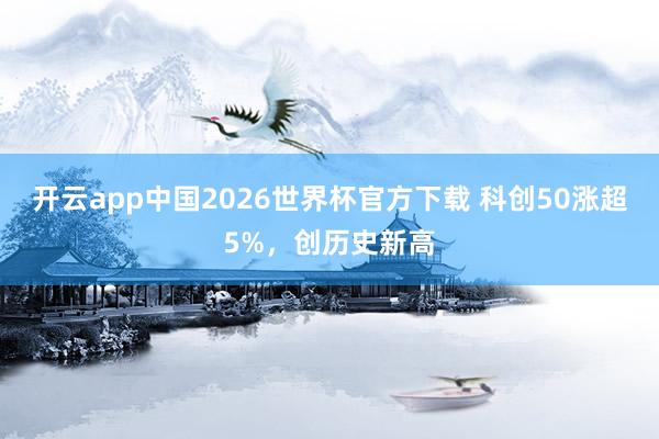 开云app中国2026世界杯官方下载 科创50涨超5%，创历史新高