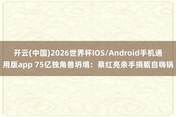 开云(中国)2026世界杯IOS/Android手机通用版app 75亿独角兽坍塌：蔡红亮亲手捐躯自嗨锅