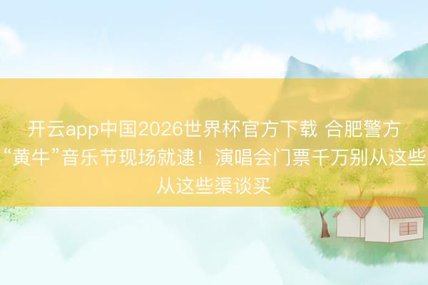 开云app中国2026世界杯官方下载 合肥警方：多名“黄牛”音乐节现场就逮！演唱会门票千万别从这些渠谈买