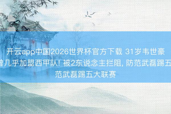 开云app中国2026世界杯官方下载 31岁韦世豪亲承: 曾几乎加盟西甲队! 被2东说念主拦阻， 防范武磊踢五大联赛