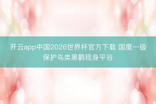开云app中国2026世界杯官方下载 国度一级保护鸟类黑鹳现身平谷