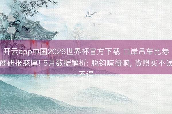 开云app中国2026世界杯官方下载 口岸吊车比券商研报憨厚! 5月数据解析: 脱钩喊得响， 货照买不误