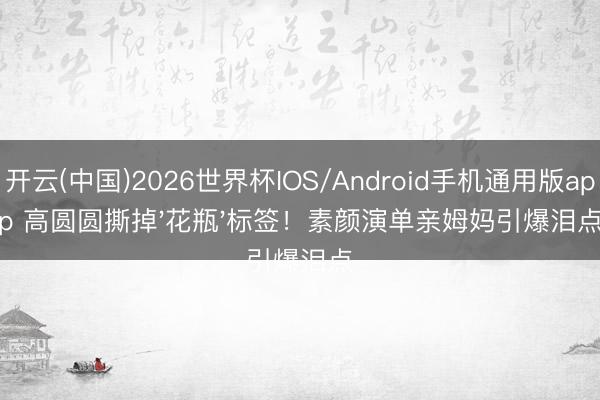 开云(中国)2026世界杯IOS/Android手机通用版app 高圆圆撕掉'花瓶'标签!素颜演单亲姆妈引爆泪点