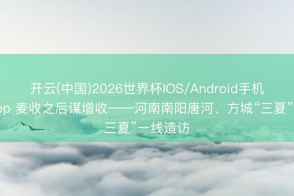 开云(中国)2026世界杯IOS/Android手机通用版app 麦收之后谋增收——河南南阳唐河、方城“三夏”一线造访
